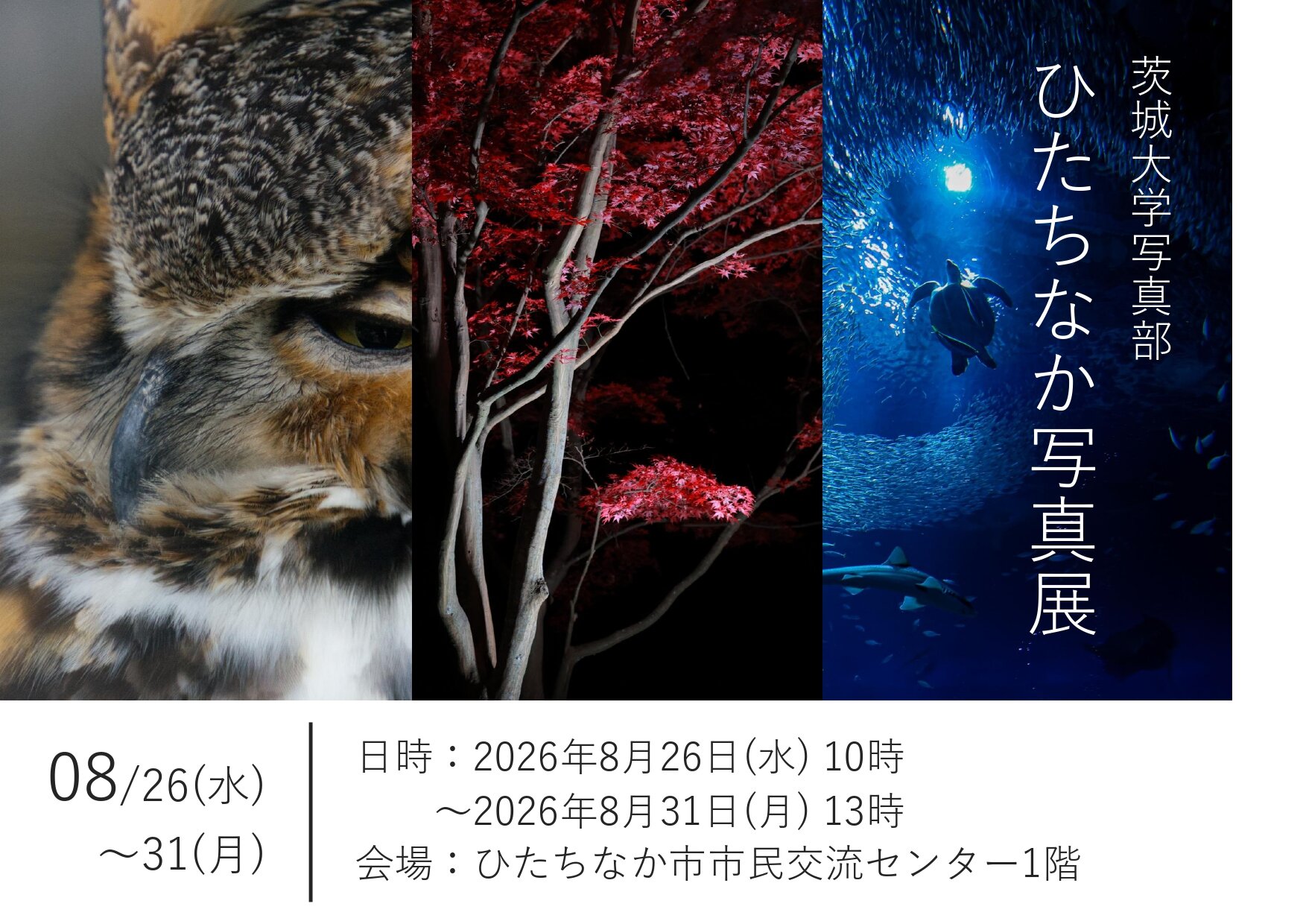 茨城大学写真部 ひたちなか写真展のチラシ